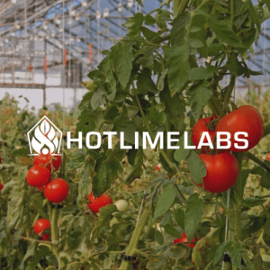 Hot Lime Labs - Green CO2 for Horticulture