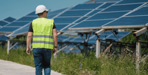Solar panels symbolising global clean energy transition and climate action in 2025